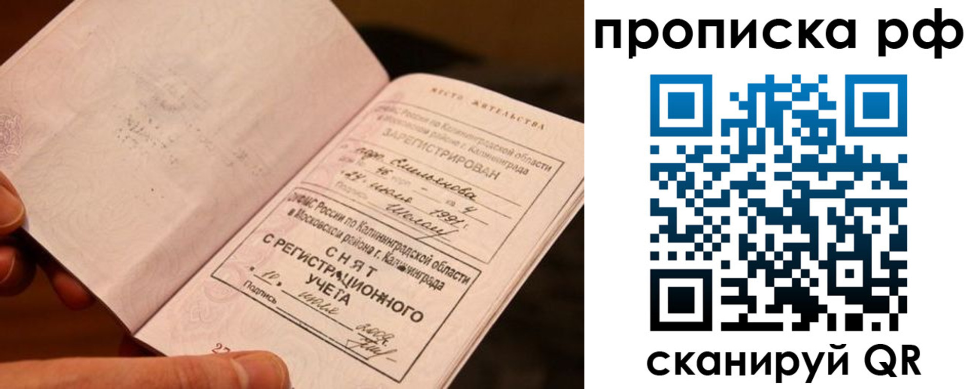 прописка гарантия в Дятьково